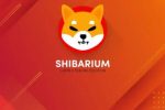 Разработчики Shiba Inu (SHIB) запускают бета-версию сети Shibarium L2