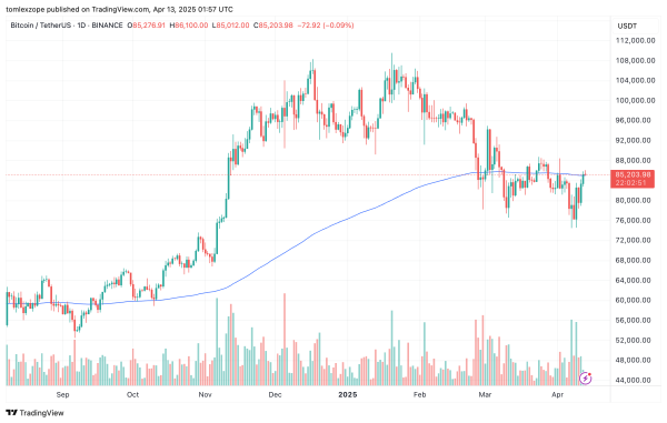 Биткоин цена поднимается выше 85 000 долл. США, так как открытые проценты на 16% в прошлый день