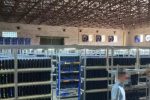 На предприятии «Леса Украины» обнаружили незаконную майнинговую ферму