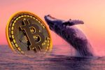 Влияние лонг позиций Джеймса Уинна на падение цены Bitcoin: анализ рынка и психология китов