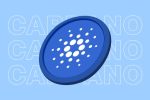 Чарльз Хоскинсон анонсировал аирдроп ADA перед запуском Midnight Protocol