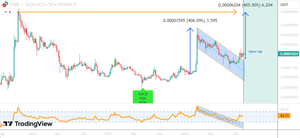 Сиба-ину готовится к 400%-ному росту из-за формирования бычьего флага, аналитик прогнозирует $0,000074
