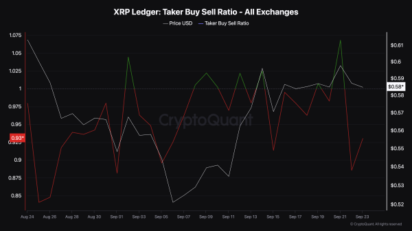 Цена XRP может вырасти на 20%