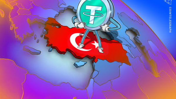 Tether предлагает правительству Турции токены, обеспеченные бором