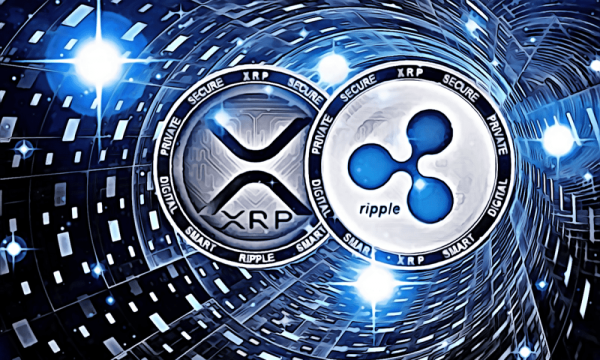 Цена XRP может вырасти на 20%