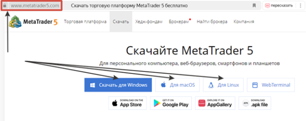 Полный обзор MetaTrader 5: что нового в торговой платформе